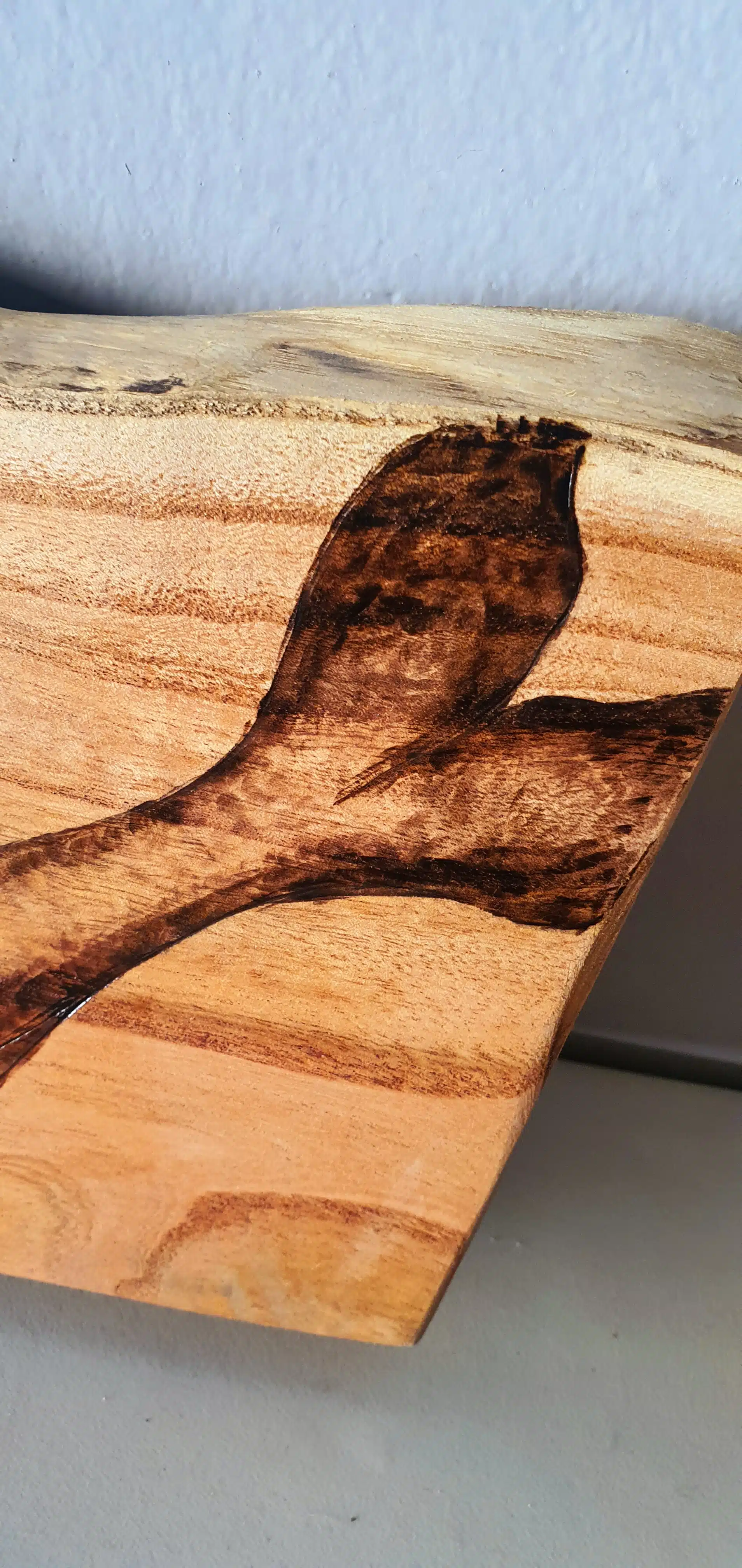 Baby Whale - Tree Slice 5 خشب حوت