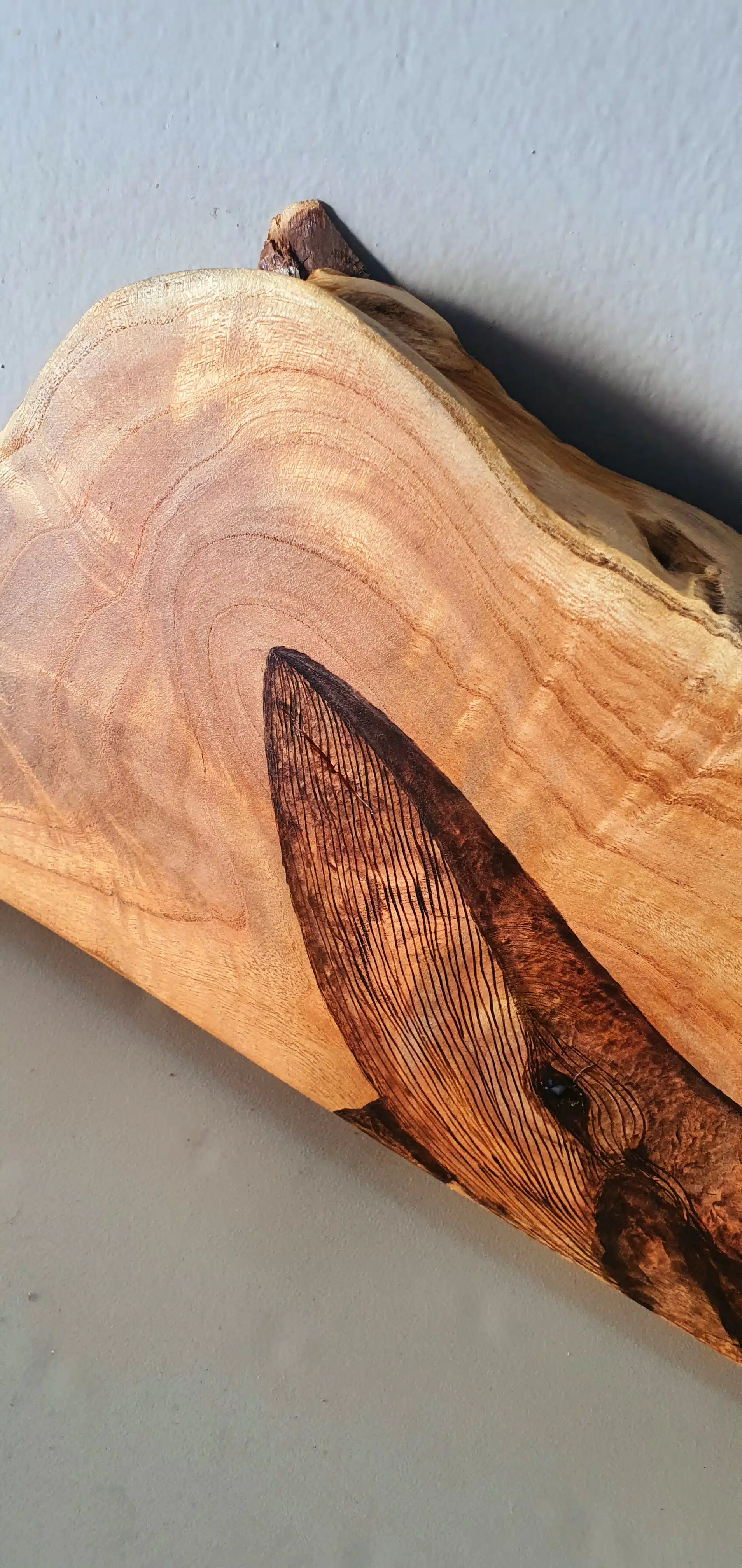 Baby Whale - Tree Slice 2 خشب حوت