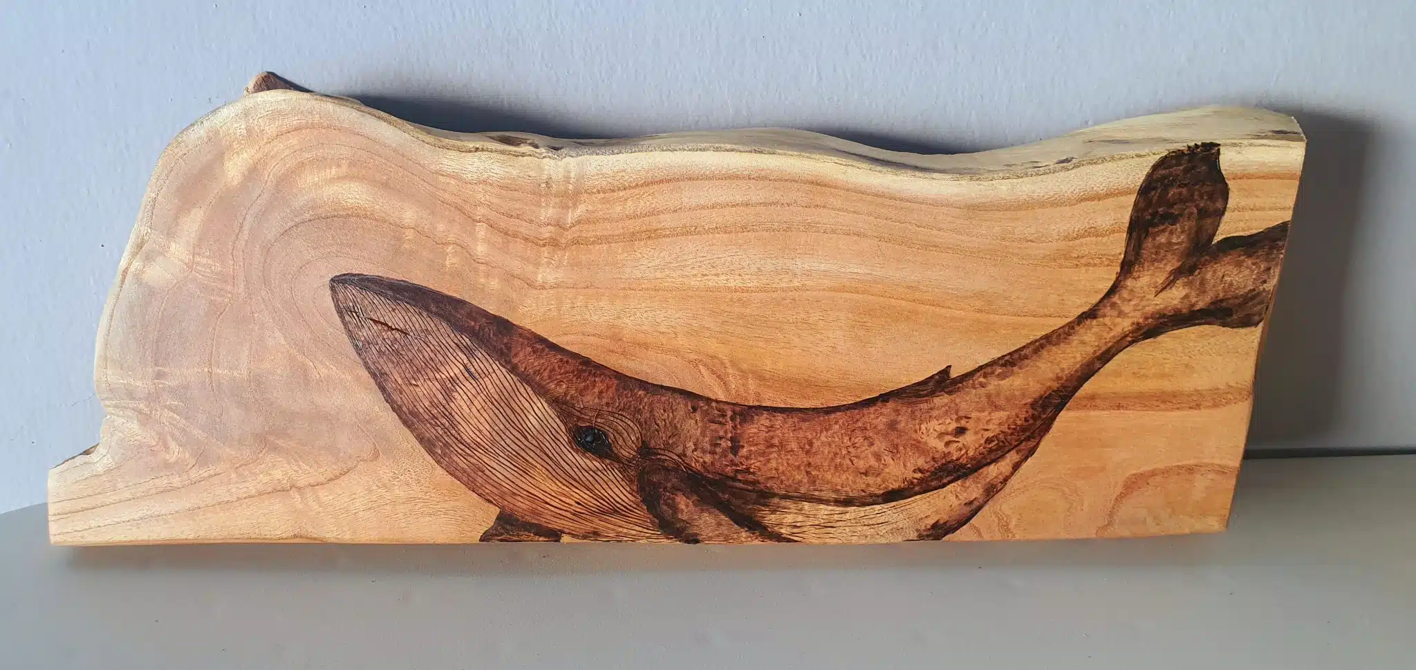 Baby Whale - Tree Slice 1 baby whale