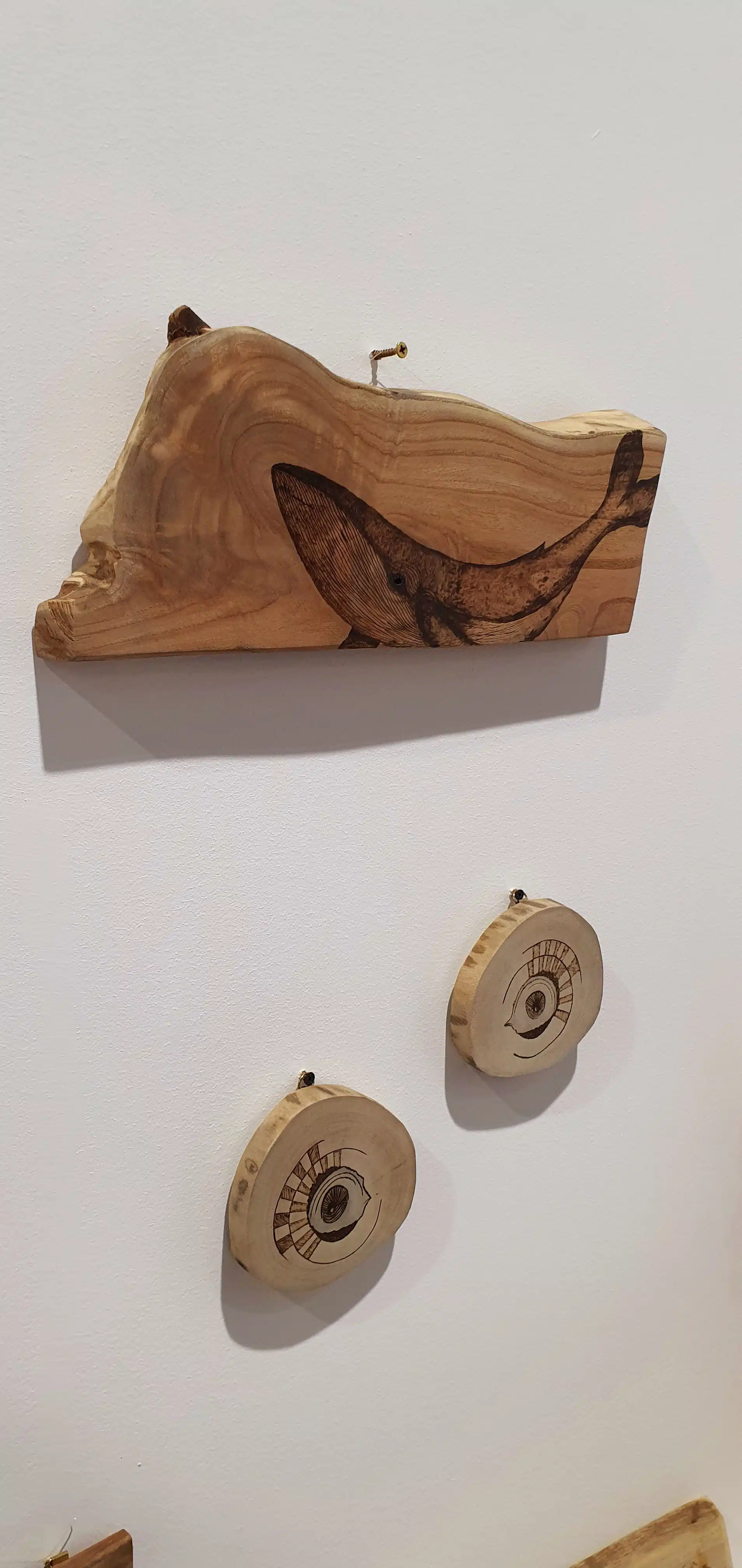 Baby Whale - Tree Slice 6 خشب حوت