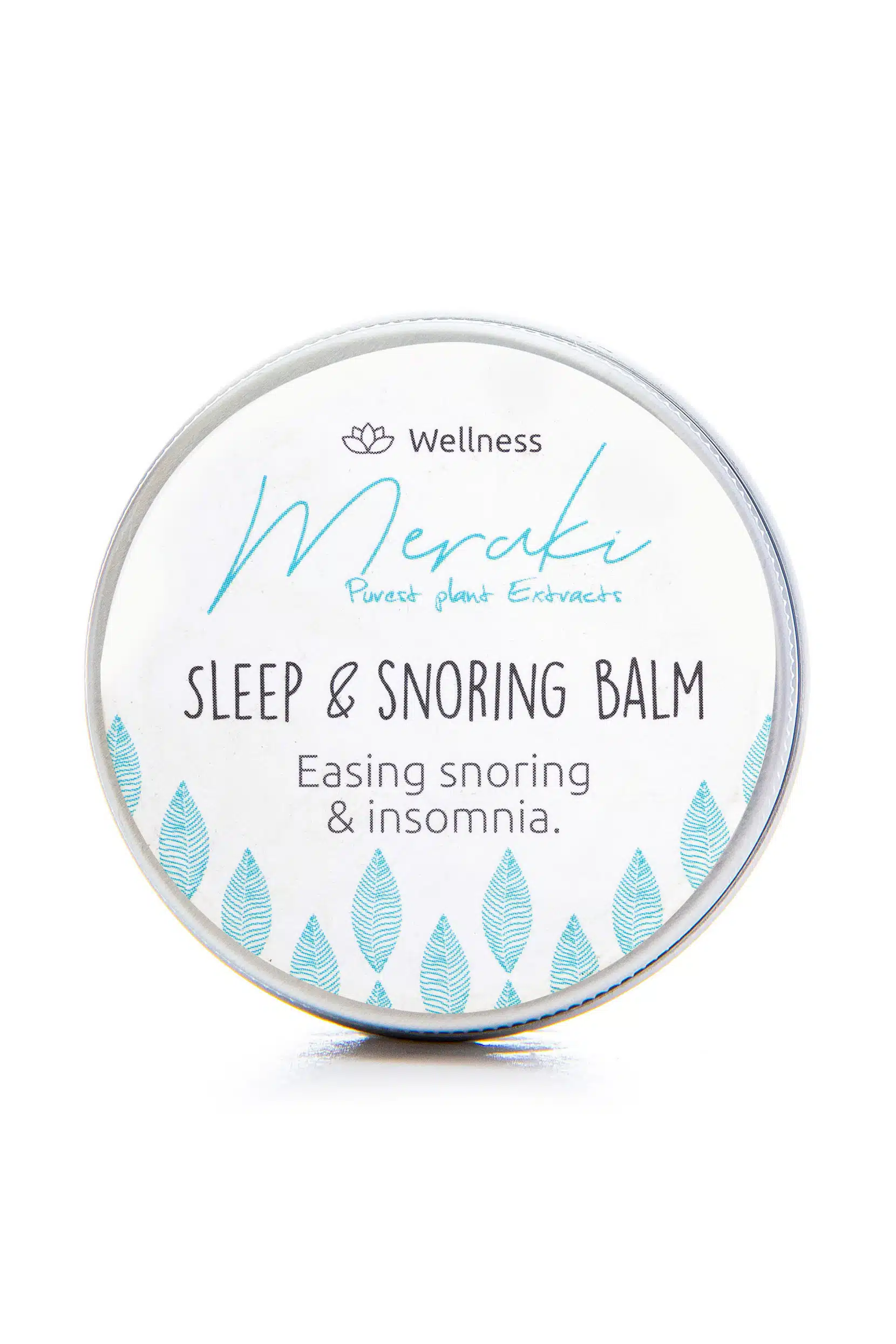 Wellbeing (40-60 gm) 6 Sleep snoring scaled