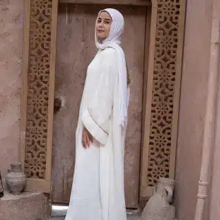 Chiffon with Gold Mesh Hood