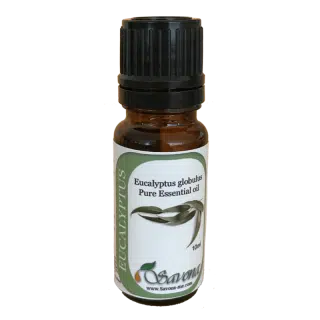 Eucalyptus Essential Oil