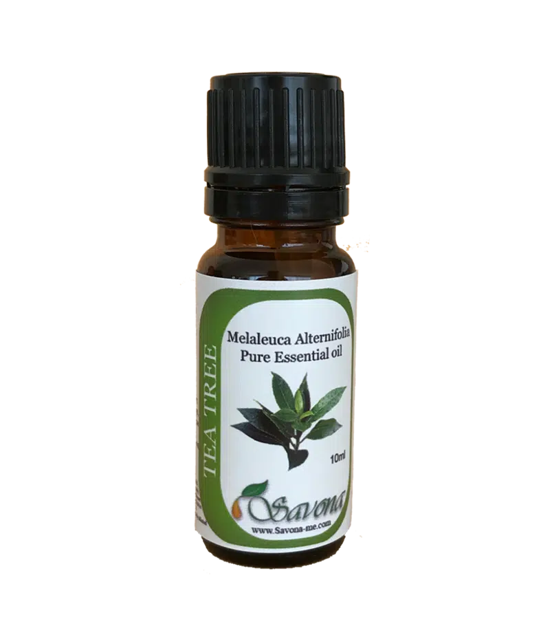 Tea Tree Essential Oil 1 Tea Tree Essential Oil