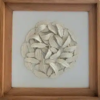 Circle of White feathers