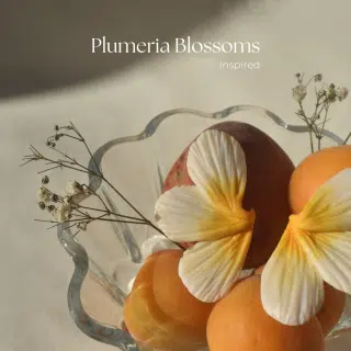 Plumeria Blossoms 02