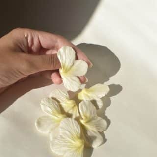 Shimmering Lily Blossoms - Yellow