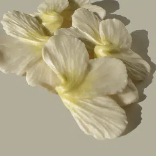 Shimmering Lily Blossoms - Yellow 02