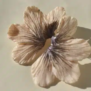 Shimmering Lily Blossoms - Ashy Purple