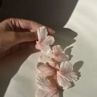 Shimmering Lily Blossoms - Pink