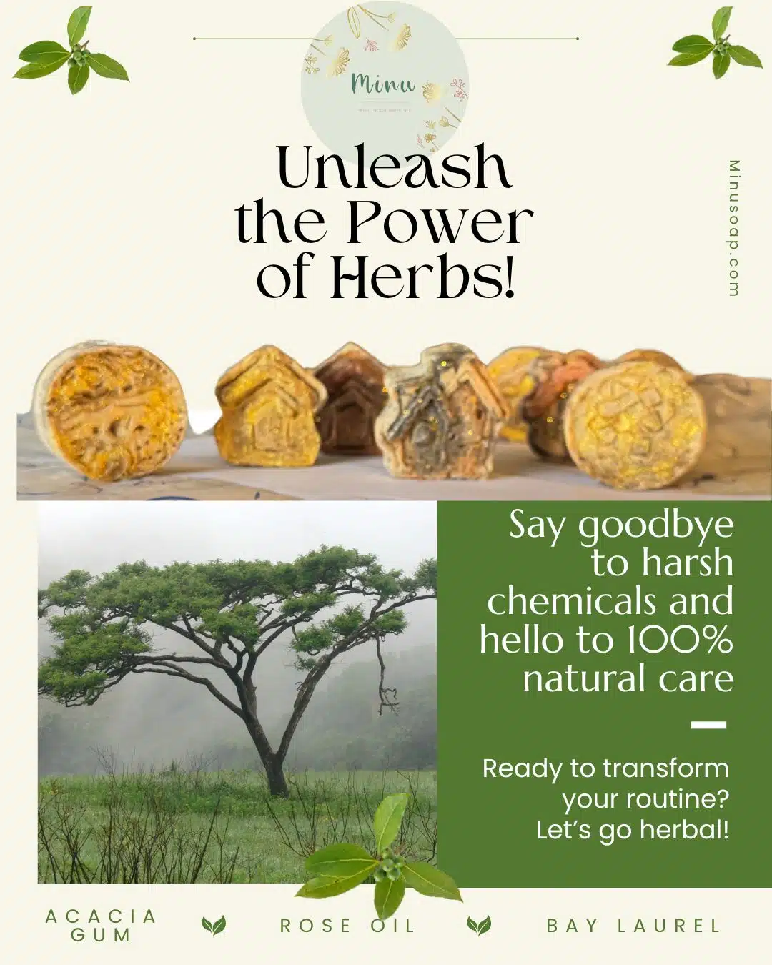 صابونة الغار ولبان الدكر 2 IMG 20250406 WA00962