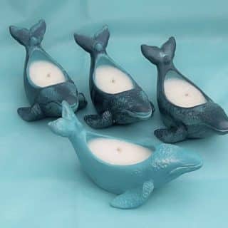 Orca