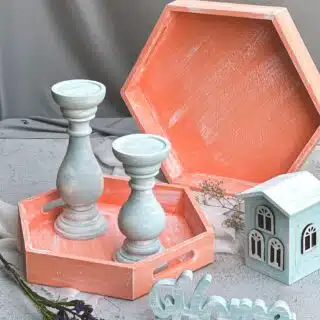 salmon hexagon trays set