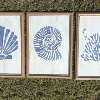 Set of Summer Tableaux