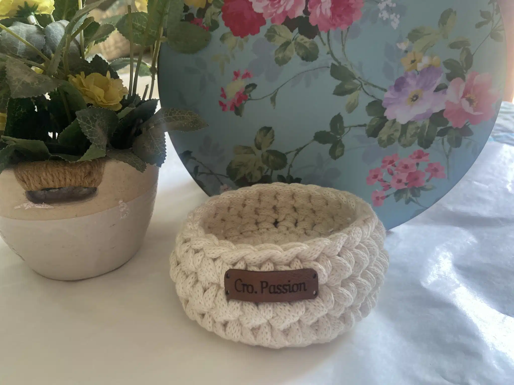 Mini white 1 Mini white