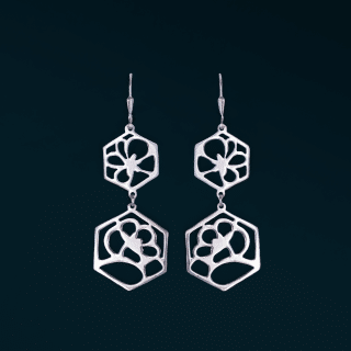 Sterling Silver Earrings