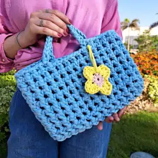 lily bag