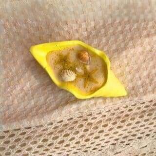 light yellow seashell candle