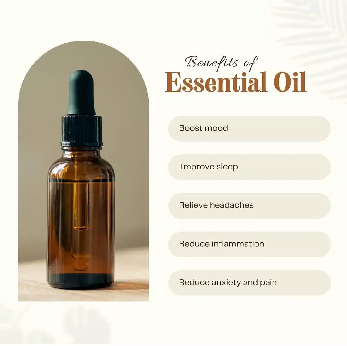 Essential oil 2 IMG 0109