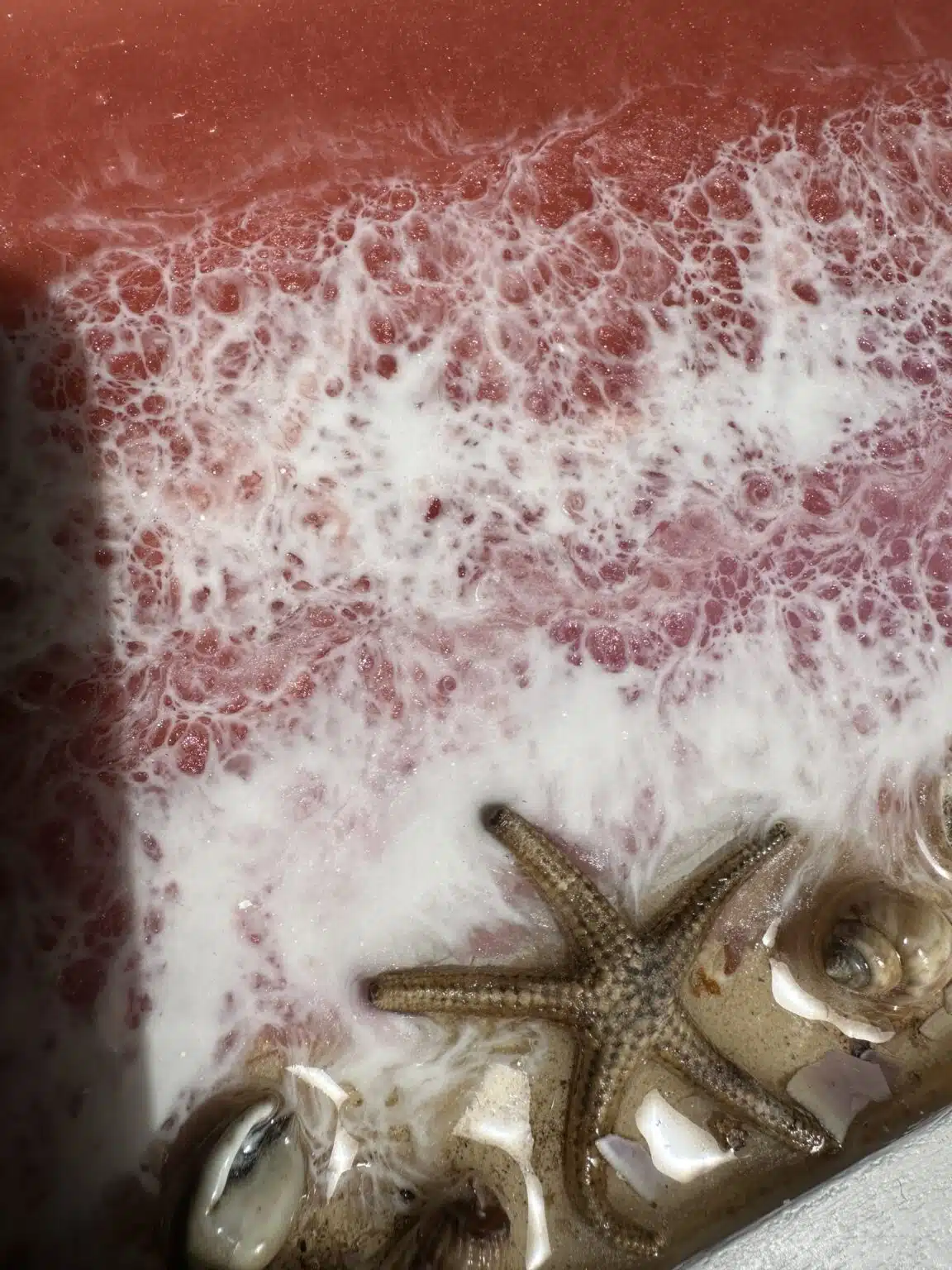 Rose resin tray 2 IMG 4498 scaled