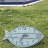 Fish shaped clock