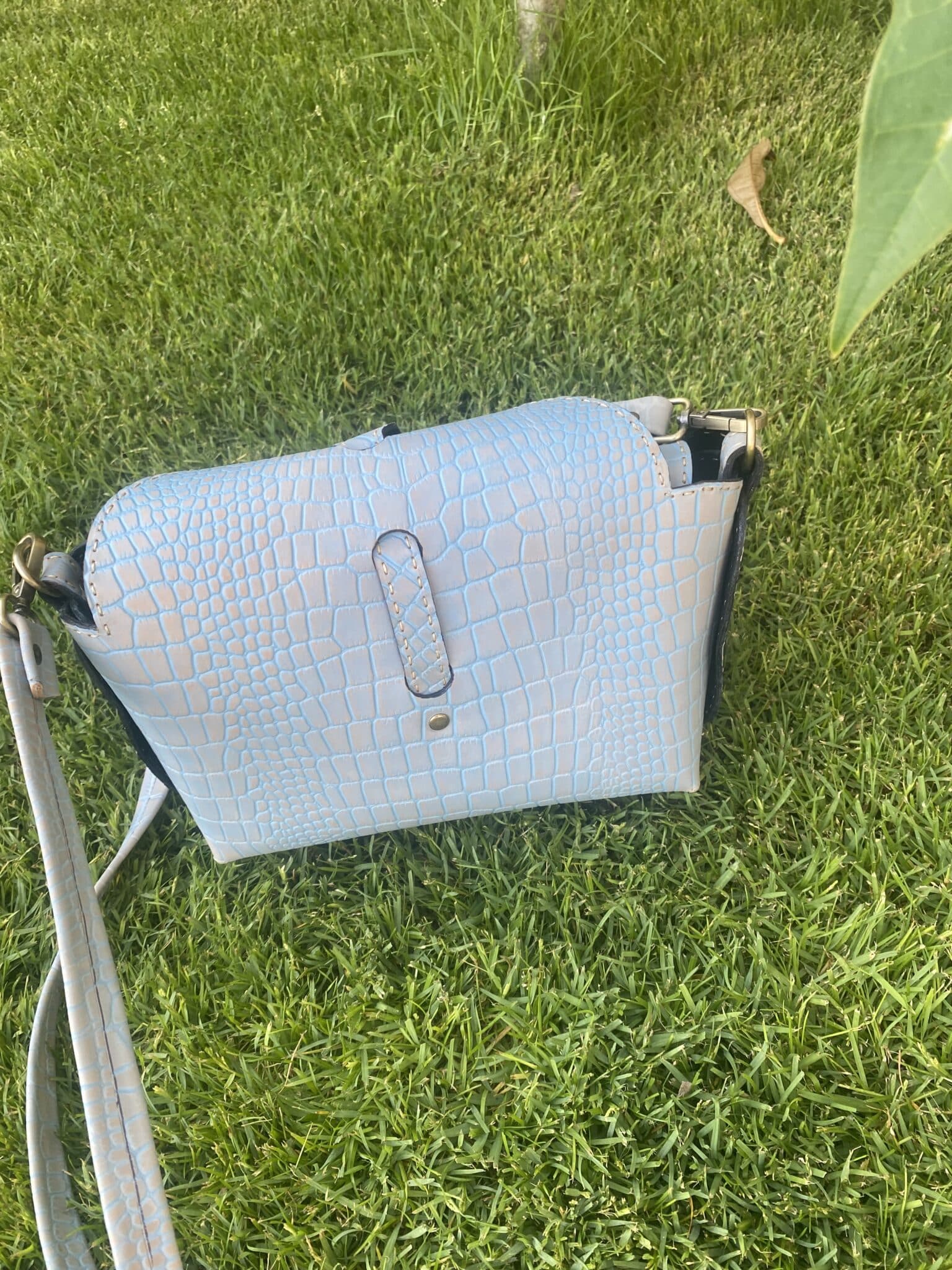 Sky Blue Elegance 2 IMG 9070 scaled