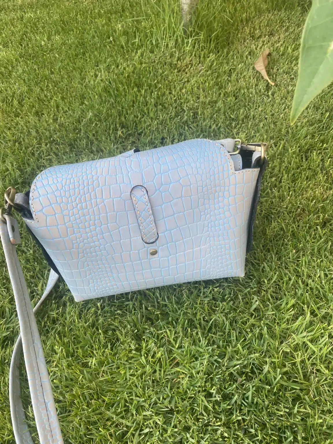 Sky Blue Elegance 2 IMG 9070 scaled