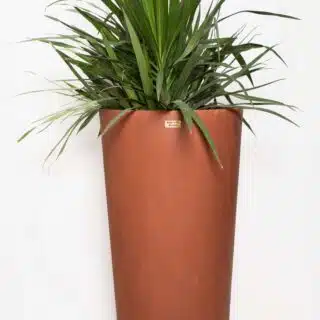 Montu Planter